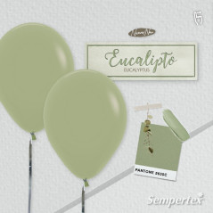 fashion Eucalipto