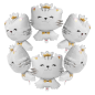 Globo Gato Globo Gato