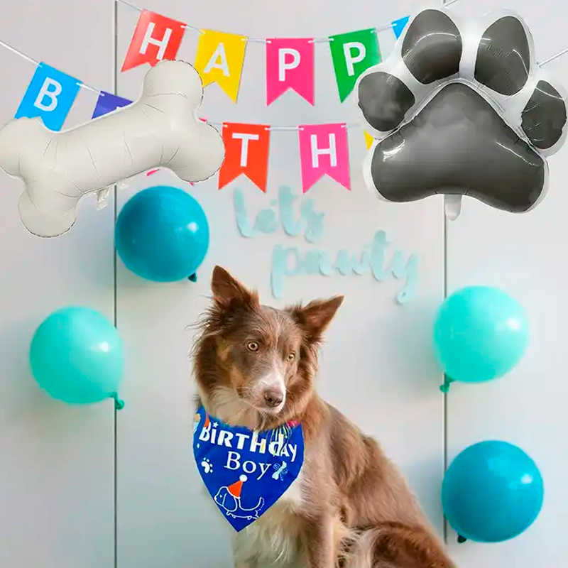 Pack de globos Mascota