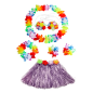 Pack Hawaiano Luau 5 productos Niño(a)