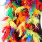 Collar o Boa de Plumas (Multicolor)