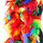 Collar o Boa de Plumas (Multicolor) Collar o Boa de Plumas (Multicolor)