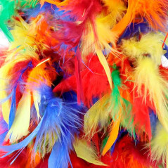Collar o Boa de Plumas