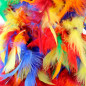 Collar o Boa de Plumas (Multicolor) Collar o Boa de Plumas (Multicolor)