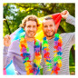 Collar de leis arcoíris Pride Party LGBTIQ+ (pack 12 uds) Collar de leis arcoíris Pride Party LGBTIQ+ (pack 12 uds)