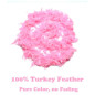 Collar o Boa de Plumas (Rosado) Collar o Boa de Plumas (Rosado)