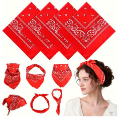 Sombrero Vaquero más Bandana mas lentes