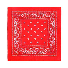 Sombrero Vaquero más Bandana mas lentes