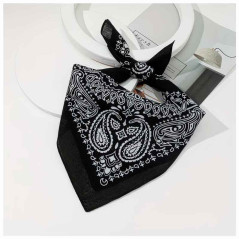 Sombrero Vaquera con detalle Sogas con Bandana más lentes