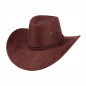 Sombrero Vaquero SOGAS +Bandana+Lentes