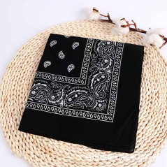 Sombrero Vaquero con detalle PITAS mas bandana