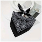Sombrero Vaquero PITAS +Bandana+Lentes