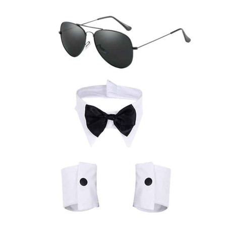 Conjunto de stripper o playboy