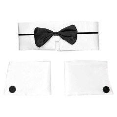 Conjunto de stripper o playboy