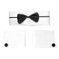 Conjunto de stripper o playboy
