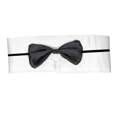 Conjunto de stripper o playboy