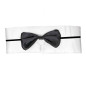 Conjunto de stripper o playboy