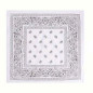 Bandana o Pañueleta unidad