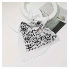 Bandana o Pañueleta