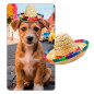 Mini sombrero estilo Mexicano (Unidad) Mini sombrero estilo Mexicano (Unidad)