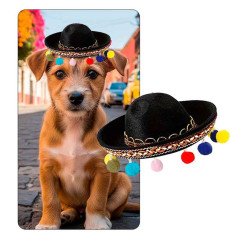 Mini sombrero estilo Mexicano