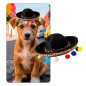 Mini sombrero estilo Mexicano (Unidad)
