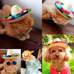 Mini sombrero estilo Mexicano