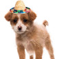 Mini sombrero estilo Mexicano (Unidad) Mini sombrero estilo Mexicano (Unidad)
