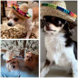 Mini sombrero estilo Mexicano (Unidad) Mini sombrero estilo Mexicano (Unidad)