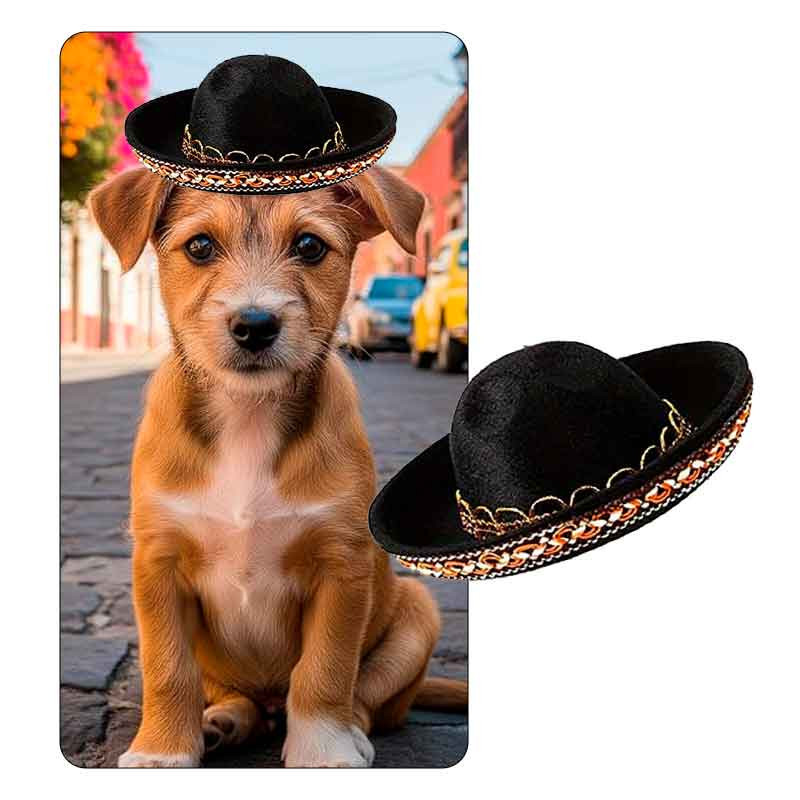 Mini sombrero estilo Mexicano (Unidad)