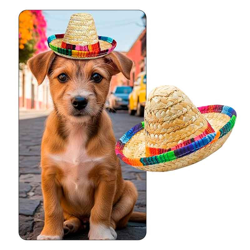 Mini sombrero estilo Mexicano