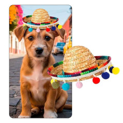 Mini sombrero estilo Mexicano (Unidad)