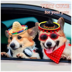 Mini sombrero estilo Mexicano