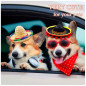 Mini sombrero estilo Mexicano (Unidad) Mini sombrero estilo Mexicano (Unidad)