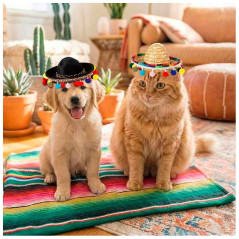 Mini sombrero estilo Mexicano
