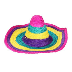 Sombrero Mexicano +Lentes