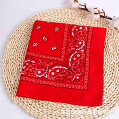 Sombrero Vaquera con detalle estrella Sheriff con Bandana mas Lentes