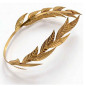 Juego de Accesorios Dios(a) Griego(a) Diadema y Brazalete(s) Juego de Accesorios Dios(a) Griego(a) Diadema y Brazalete(s)