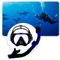 Máscara y Snorkel para jóvenes, adultos (GRAVITAL) Máscara y Snorkel para jóvenes, adultos (GRAVITAL)