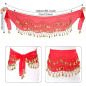 Juego de 3 accesorios Danza del Vientre (falda Pulsera Vincha) Juego de 3 accesorios Danza del Vientre (falda Pulsera Vincha)