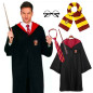 Disfraz Harry potter casa  Talla Large (con 5 productos)